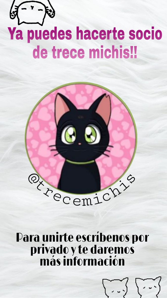 trecemichis's tweet photo. Para poder seguir ayudando a los michis, necesitamos ayuda 💔 Ahora puedes ser socio de Trece Michis con la donación que tú elijas 😻 ¿Quieres ayudarnos siendo socio? 🙏🏽 https://t.co/L8GYrDjBdM