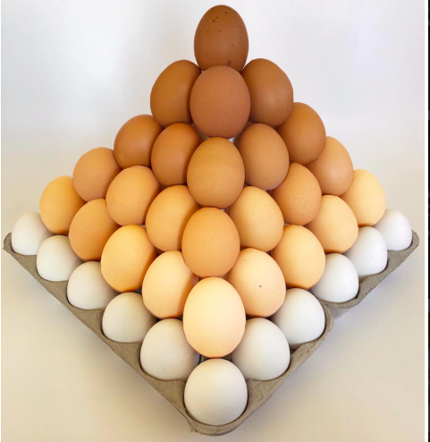 ONTSpecialNeeds's tweet photo. In case you missed our #DailyMathChallenges this week, here are all the images we tweeted!
#MathTalks
What math do you see?
What patterns do you see?
How many different shapes do you see?
Enjoy the discussion with your class! https://t.co/gU3rwGF4Y6
