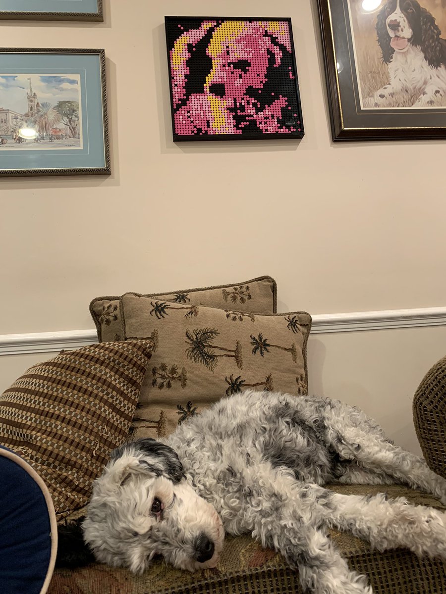 JamesHutson12's tweet photo. My dog portait #legomosiac https://t.co/cXrhmIs8Qj