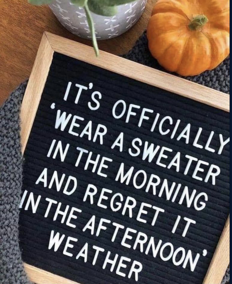 SheriffEd_HCSO's tweet photo. Yep…that sums it up.🙄😂 
#sundayvibes https://t.co/ImF3XYLGi3