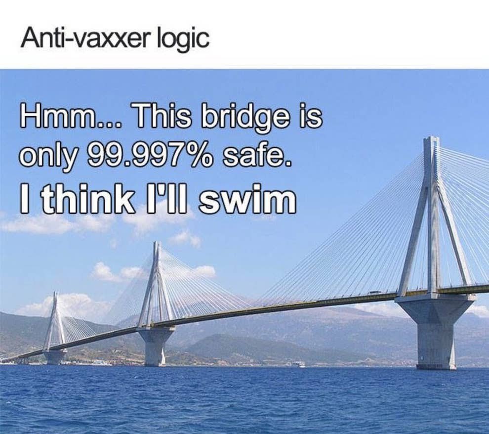 funder's tweet photo. 100% accurate 🏊‍♀️ 🤣 https://t.co/b1otcuhr0H