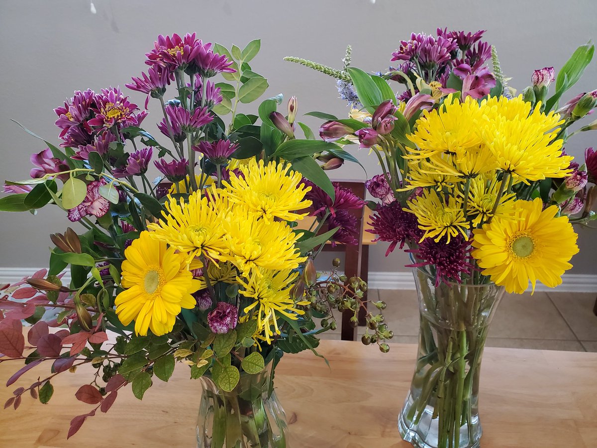 amy_k_sanders's tweet photo. The after. Two robust centerpiece bouquets that will look fresh for 10 days with proper care. Final cost: $15 each.

Alstromeria
Carnations 
Gerber daisies
Spider mums

#NoWorkSunday https://t.co/VYwdlmGbL5