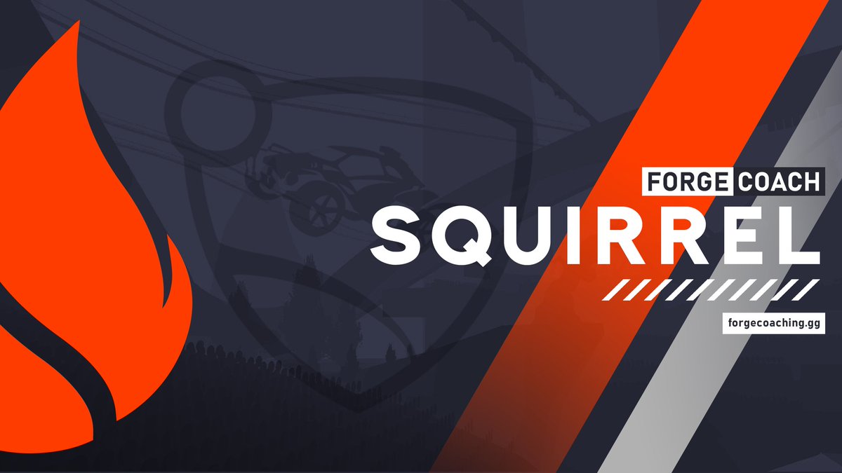 Squirrel 🐿️ tweet media