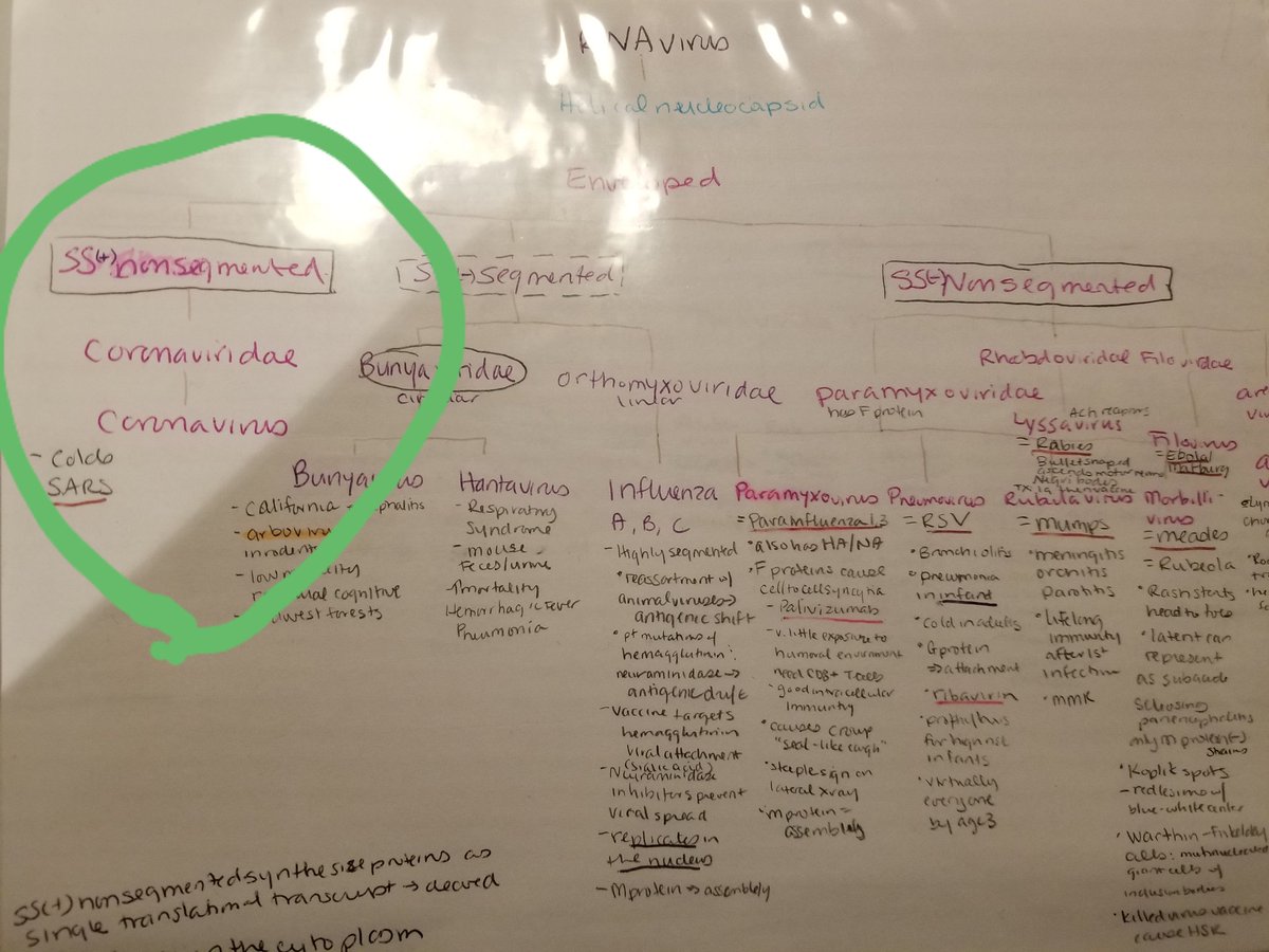 wli1016's tweet photo. Moving next week and finally throwing out this dear dear part of my heart and soul. Looks like some of my multicolored notes need some updating though... #medstudentlife #finallyanattending https://t.co/0uR5hmNaoU