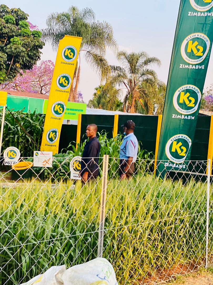 Zimbabwe Agricultural Society tweet media