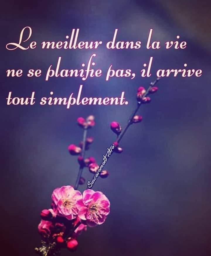 #lachezprise #goodvibes✨ #positivevibesonly✨ #witchescommunity #witchesoftwitters🔮🌙 #witchlife #limpossibleestpossible #memeanxieuseonpeutpositiver #devperso #bonnenuit❤️ #toutarriveapointaquisaitattendre