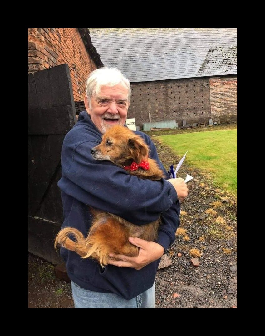 Paws2RescueUK tweet media