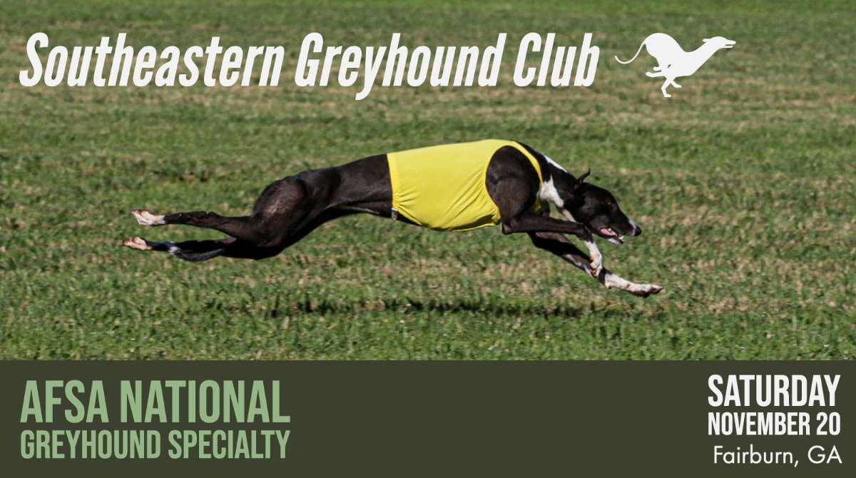 SEGC/SEGA Greyhounds tweet media