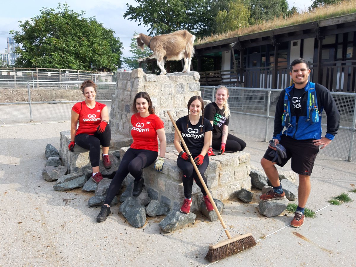 Plot2Shop's tweet photo. Another lovely afternoon with @ggsouthwark who assisted us with bagging up manure for our online shop and sweeping the goat yard. The team worked so hard that there was plenty of time for goat and sheep cuddles! https://t.co/WoWh4HQ7pZ