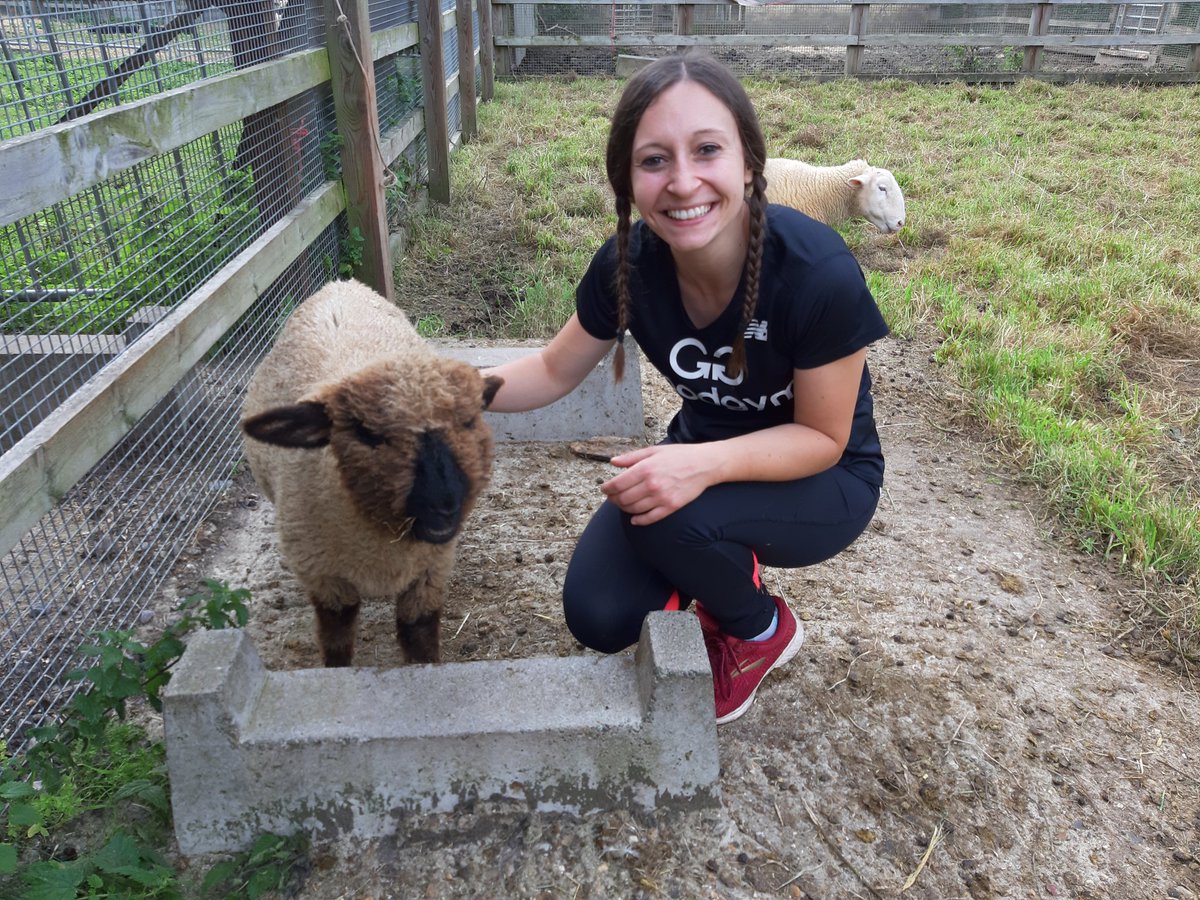 Plot2Shop's tweet photo. Another lovely afternoon with @ggsouthwark who assisted us with bagging up manure for our online shop and sweeping the goat yard. The team worked so hard that there was plenty of time for goat and sheep cuddles! https://t.co/WoWh4HQ7pZ