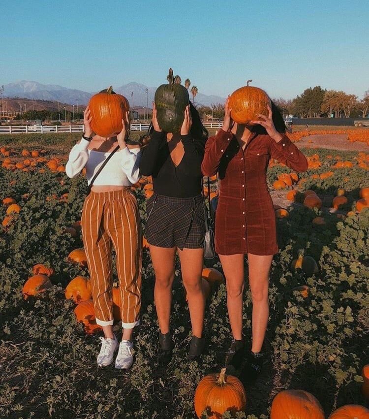 SSACallahan_'s tweet photo. We love pumpkin patches if you couldn’t already tell https://t.co/l2LbAOkhiX