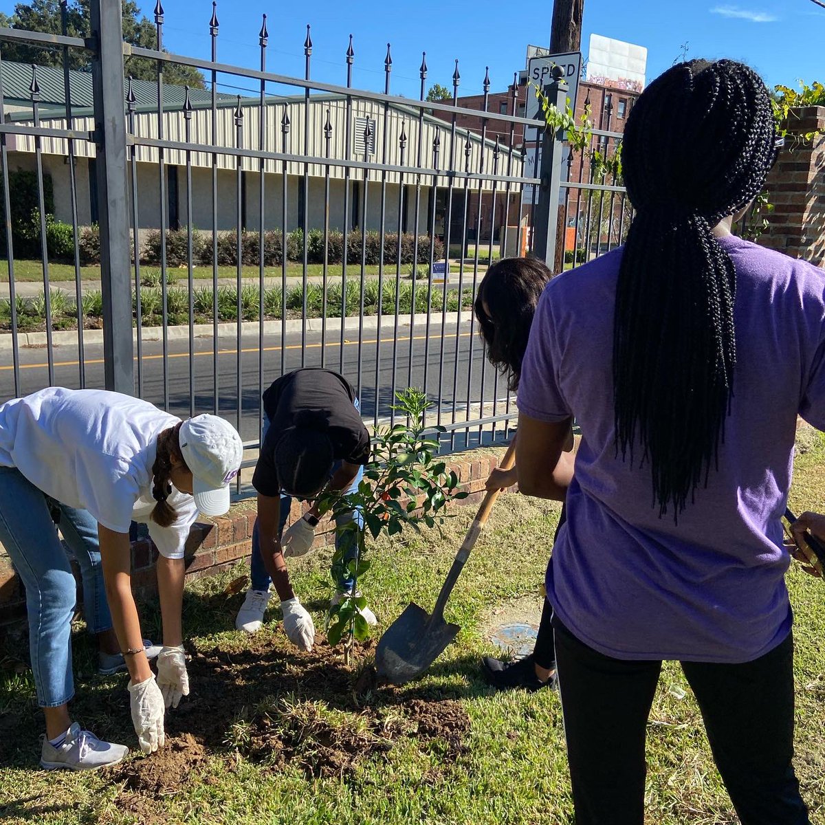 Black Women's Empowerment Initiative at LSU tweet media