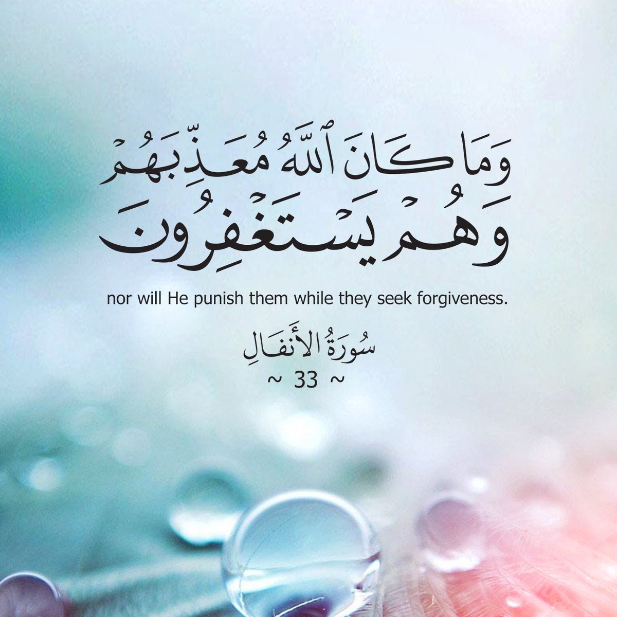 Everytime321's tweet photo. #يحدث_الان
لا تجعل يومك يمضي خال من الأجُور: 
سبّح ، أستغفر ، وصّل على النبي https://t.co/Kn9p3jKZtZ