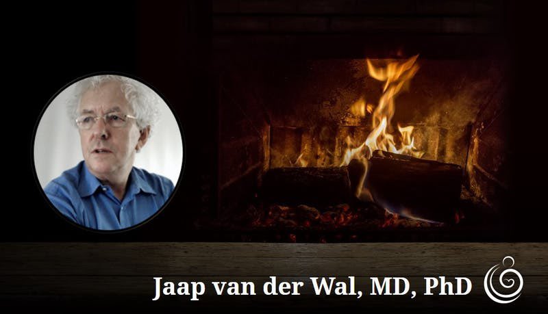 An Exciting Opportunity to Participate in Jaap van der Wal's
3-part lecture series
Acts of the Soul:
Embryology and Birth Psychology
At Noon EST

Tuesday, November 9, 2021

Tuesday, December 7, 2021

Tuesday, January 18, 2022

Reserve a spot here!

us02web.zoom.us/meeting/regist…