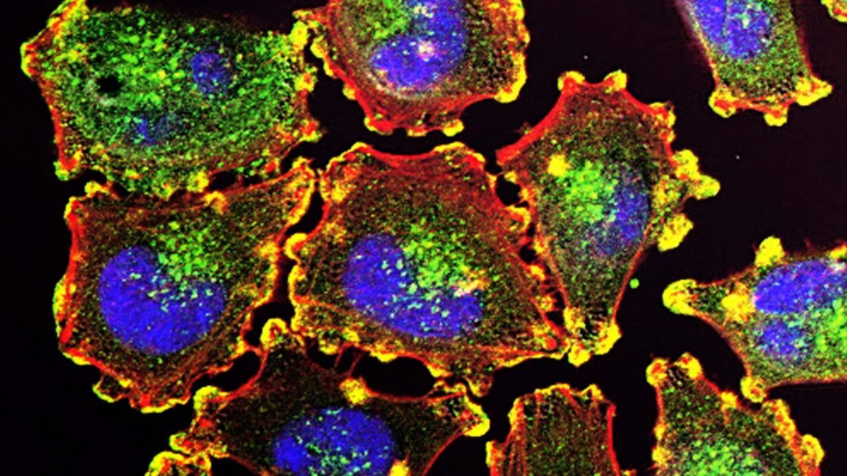 On this #ScienceSunday, researchers at <a href="/WeizmannScience/">Weizmann Institute</a> share an overview of the key functions of secretory cells, such as the tear and salivary glands, that are responsible for the production of various substances in the body. buff.ly/3i8wreH