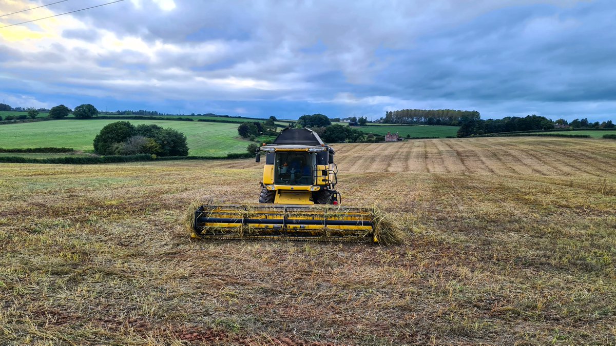 Ally Hunter Blair tweet media