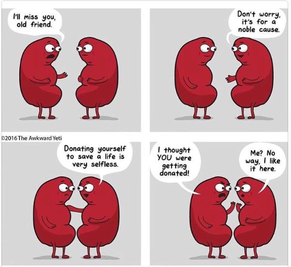 Ending off #OrganDonationWeek with a little light humour.  Don't wait to discuss your #OrganDonation decision with your loved ones - make your wishes known and #LeaveThemCertain. Chatting about your decision might also make it easier for others to do the same. 
#SaveLives