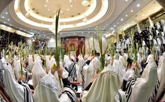 ManseEverard's tweet photo. Hochana Raba 🕎 https://t.co/bVHk51LZAJ