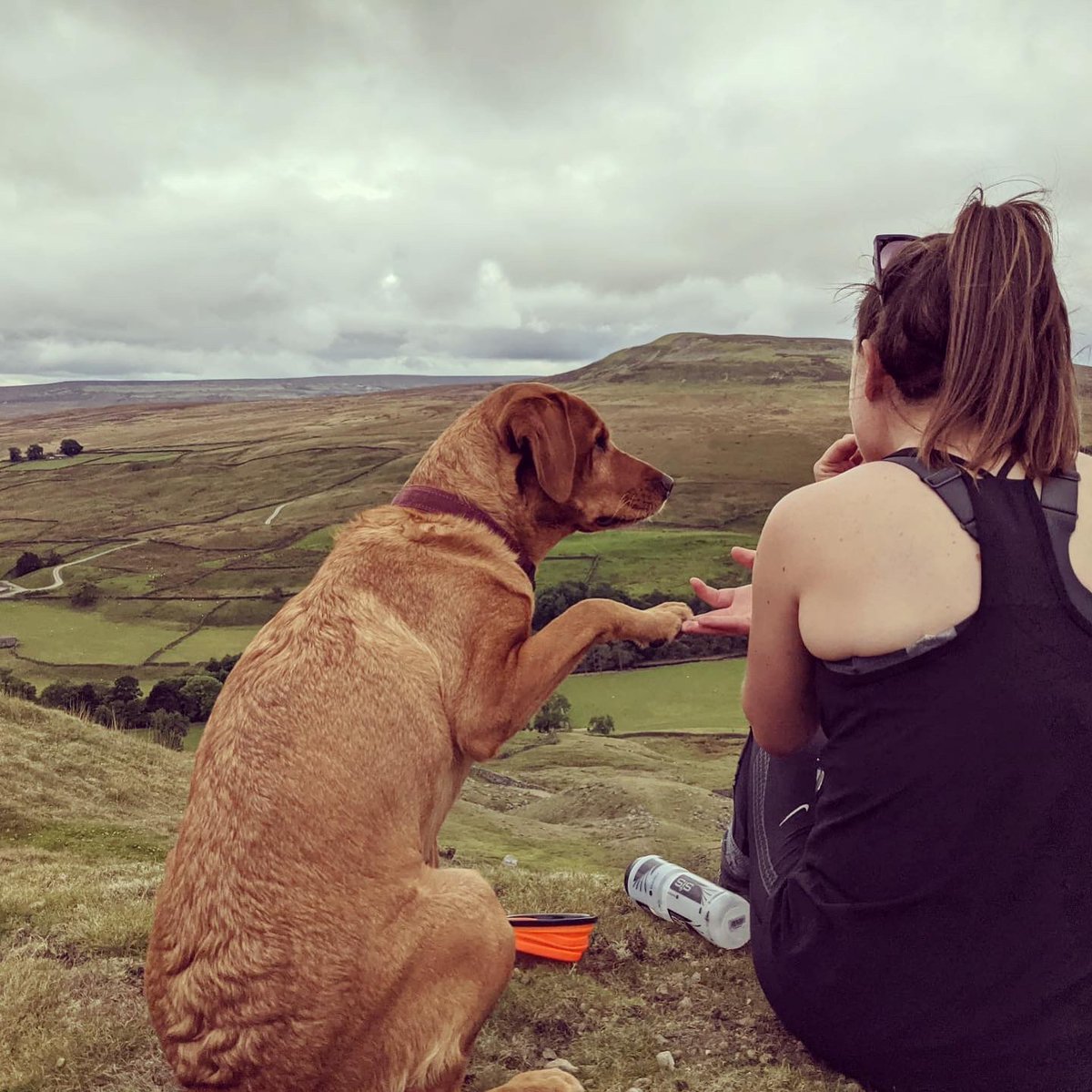 HildrethRachel's tweet photo. More exploring with you 🧡 , https://t.co/1e88tGJWVZ