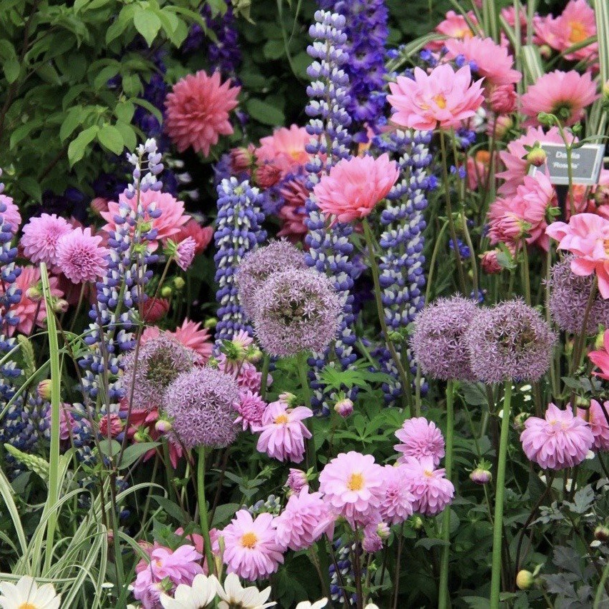 🌿🌼🧺 (@peacozy) on Twitter photo 