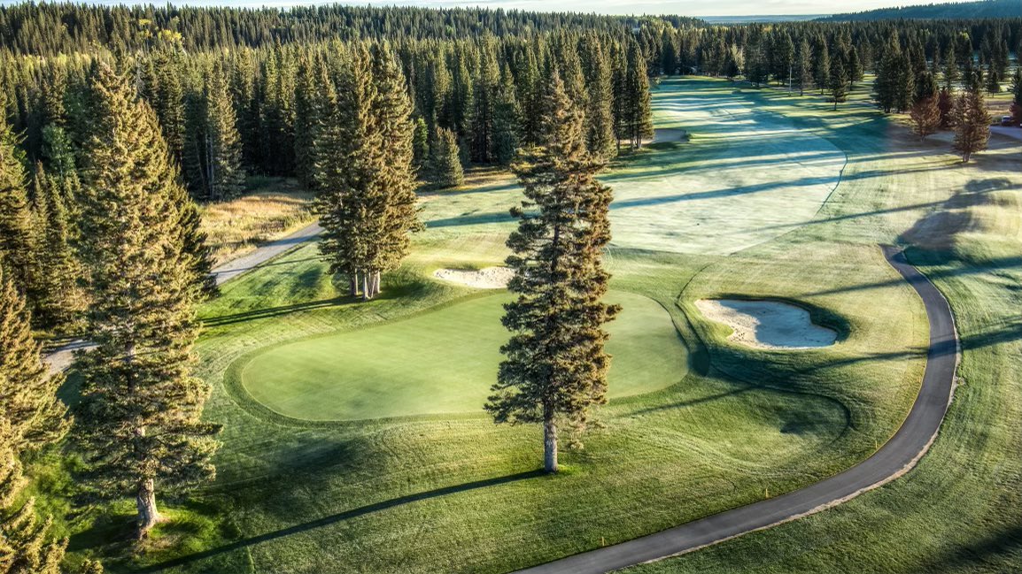 proredwood's tweet photo. The greens are done and growing in nicely before winter.  Next year will be amazing!  Photos by @Dynamic_Vision https://t.co/I4S9Uj2hnh