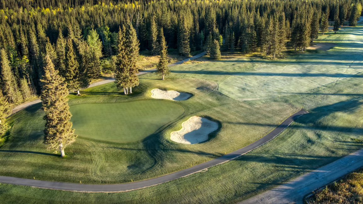 proredwood's tweet photo. The greens are done and growing in nicely before winter.  Next year will be amazing!  Photos by @Dynamic_Vision https://t.co/I4S9Uj2hnh