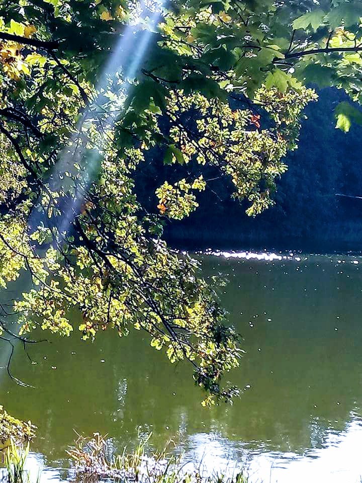 Maria Bitka-Urbanek tweet media