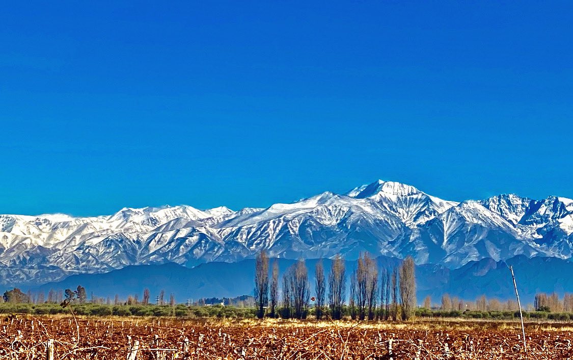 alevigilmalbec's tweet photo. Maravilloso #mendoza https://t.co/Z8kDHo0yVW
