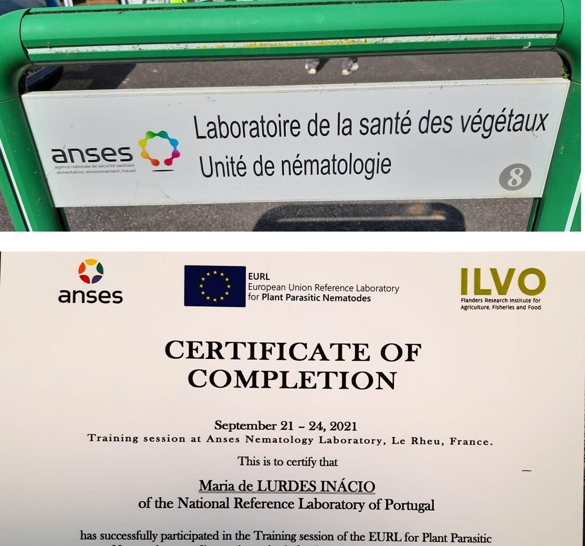 <a href="/InacioLurdes/">Maria L Inácio - NemaINIAV</a> #NemaINIAV <a href="/INIAV_IP/">INIAV, IP</a>  learning from the best, at eurl-nematodes.anses.fr: big achievement!!🤩🤩