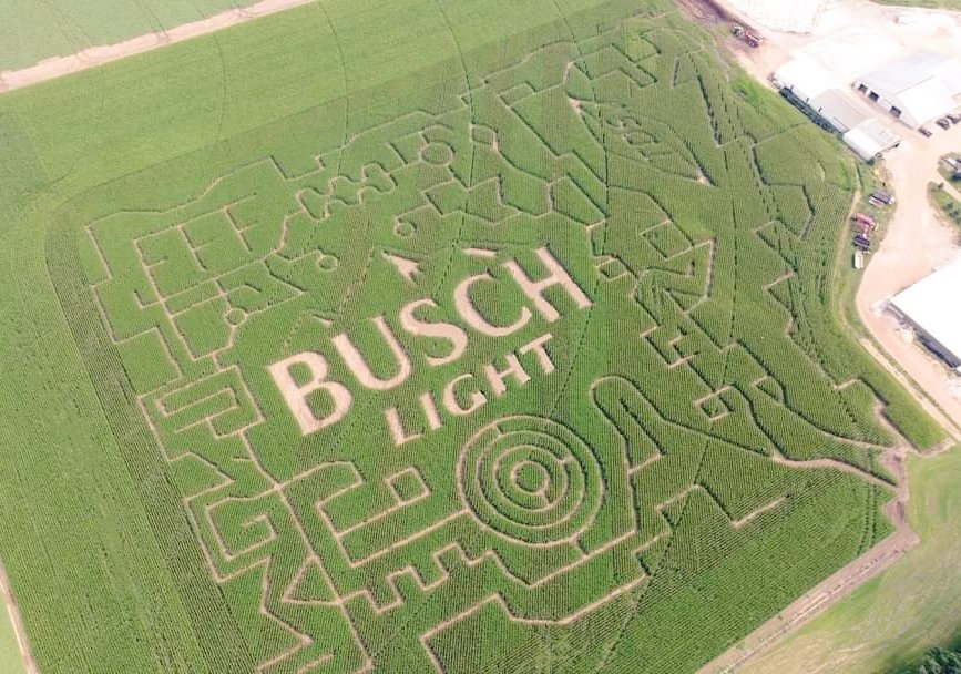 jfeltzy's tweet photo. @BuschBeer https://t.co/i0WWTewx8L