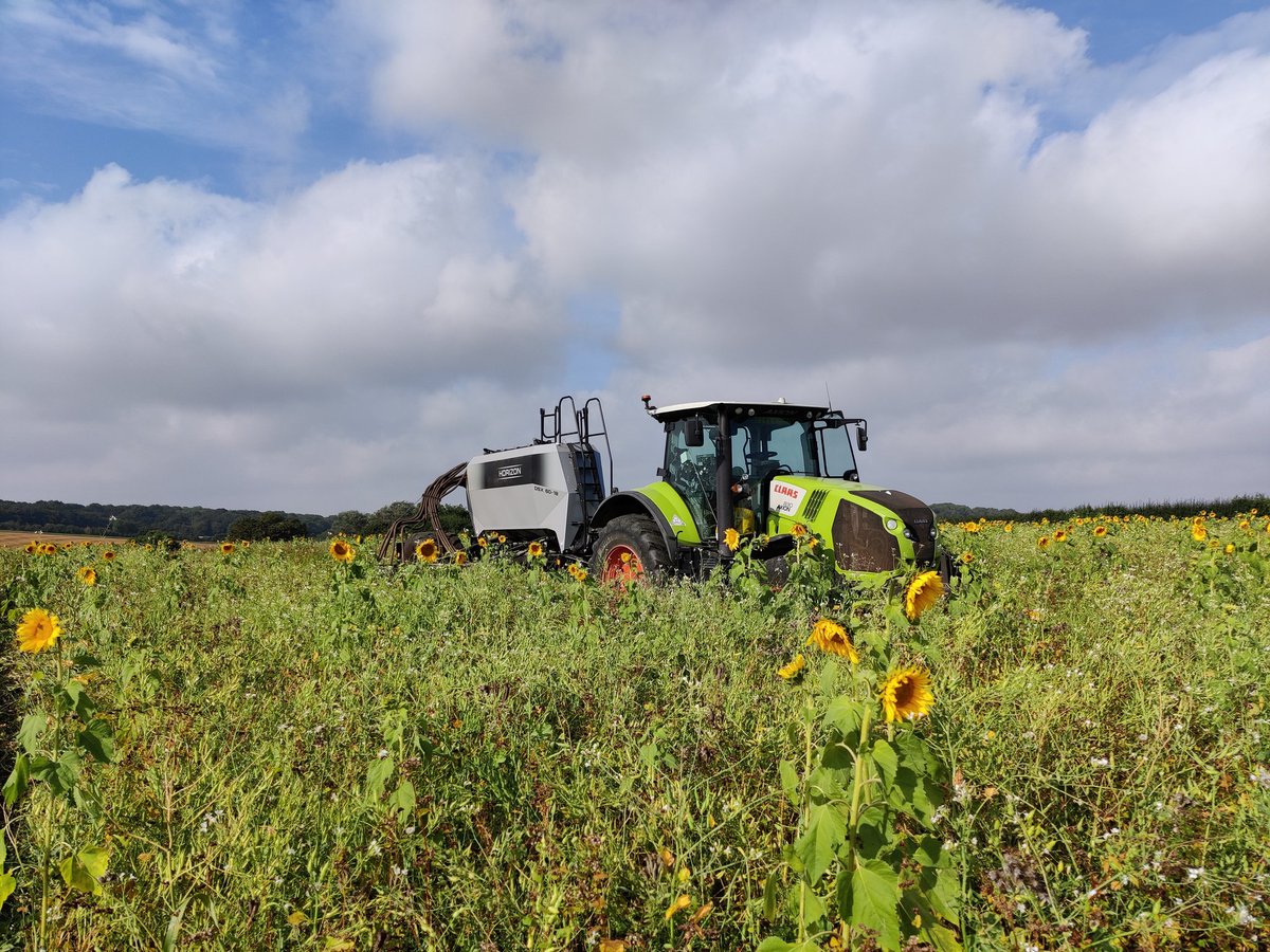 JHNorthern's tweet photo. A #farminggoal achieved this morning. Drilling wheat direct into a big cover crop with the fantastic @HorizonAgri DSX. Many thanks to @topcat_2006 for the seeder upgrades this week and to @OakbankGame for the summer fallow seed mix. https://t.co/f8nX9FoswD