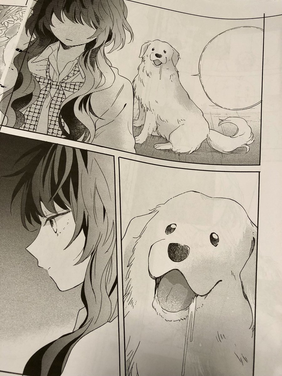 この犬の顔がすごく満足に描けたなと当時おもいました 君とワンダーランド 渡辺カナ 11月1日更新の漫画