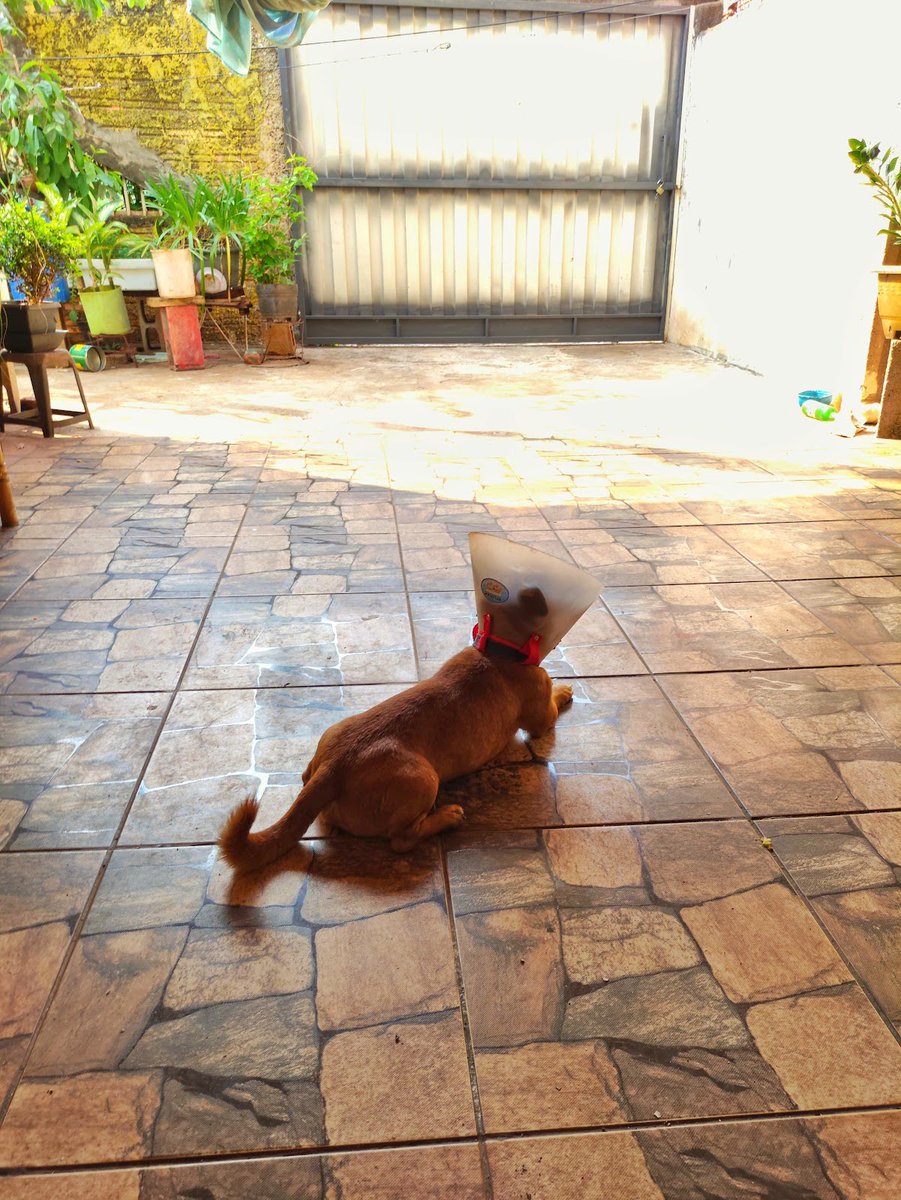 AjudeLuke's tweet photo. Luke curtindo o domingo e passando para desejar uma ótima semana pra vocês ❤️🥰 https://t.co/SXX2LTqivx