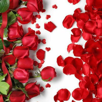 #صورة_جديدة_للملف_الشخصي