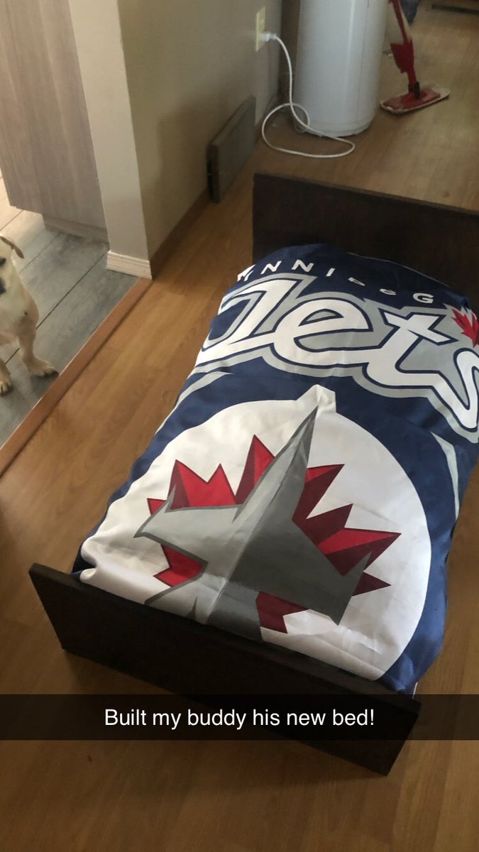 pesparky's tweet photo. Made my boy Rico his very own ‘big boy’ bed decked out in his favourite @NHLJets bedding to match his dad just in time for the first game of the season. Go jets go https://t.co/UDQkA0sCNT