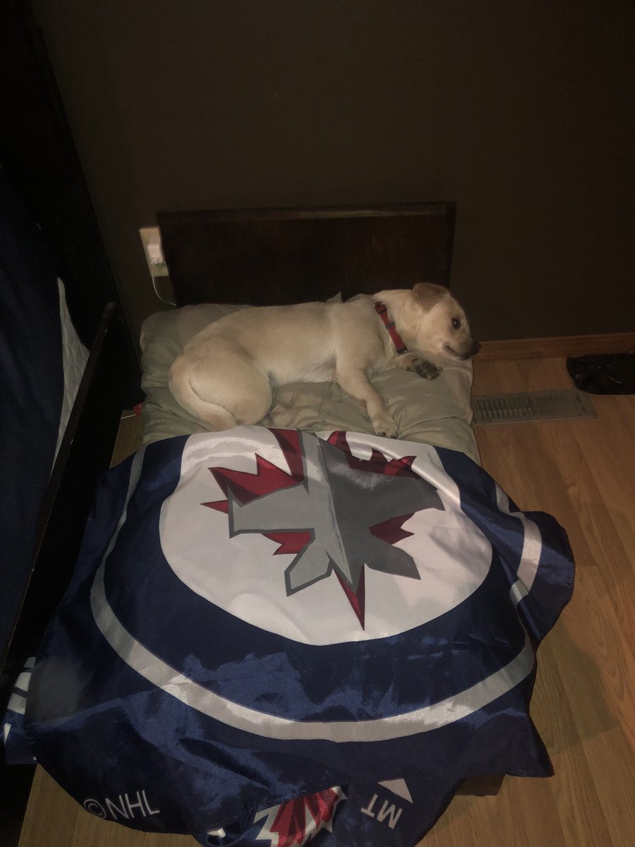 pesparky's tweet photo. Made my boy Rico his very own ‘big boy’ bed decked out in his favourite @NHLJets bedding to match his dad just in time for the first game of the season. Go jets go https://t.co/UDQkA0sCNT
