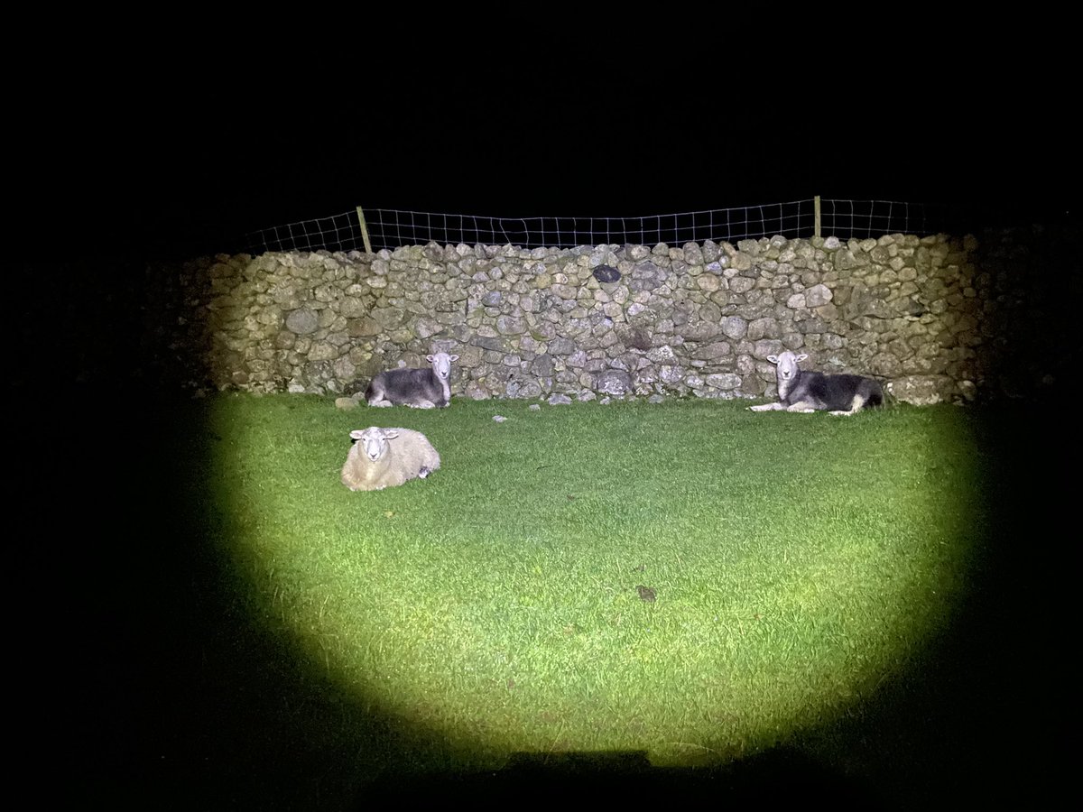 wander_into's tweet photo. Wasdale Head, trying out my head torch on the way to @WasdaleHeadInn  #LakeDistrict https://t.co/SzWhF0aNRY