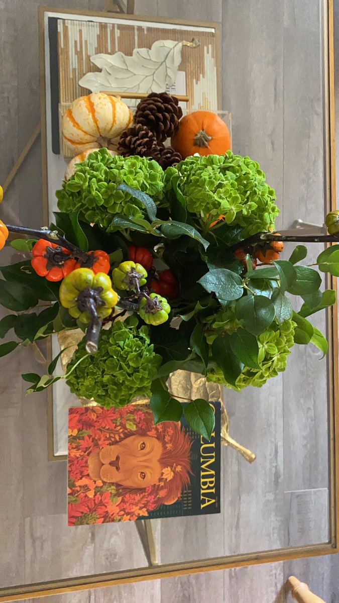 l_sargs's tweet photo. When @Columbia Fall 2021 issue  blends in with your Fall 2021 decor #winwin #GoLions #Columbia https://t.co/haHu8ZevE8