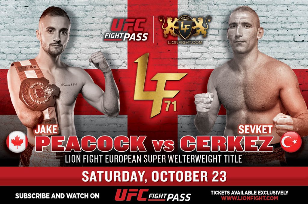 Lion Fight tweet media