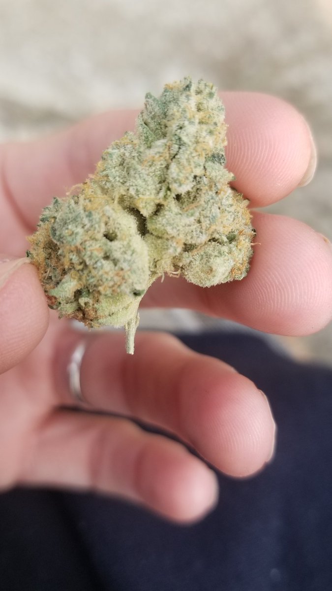 HdMiles17's tweet photo. #weddingcake #WeedLovers #marijuana https://t.co/fepqzNuEJm