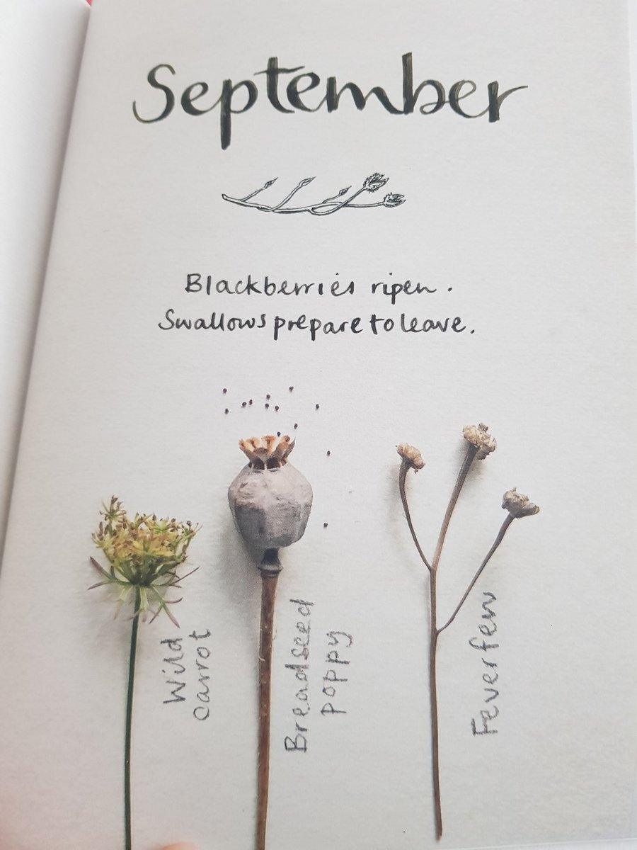 CathBax's tweet photo. #Book91 @LancsLibraries
#LancsReads2021
#TheWildRemedy #EmmaMitchell, took me 12mnths to read - not because I didn't like it but because it is a diary of #HowNatureMendsUs & I read a chapter each month @aliceonthehill created a FB page to record our walks with photo story boards https://t.co/bcSt46wk7D