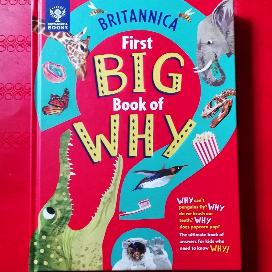 ZoeArtist's tweet photo. #brittanica #firstbigbookofwhy @whatonearthbook The perfect gift for Curious kids who want to know everything! Packed with wacky facts surprising stories, unsolved mysteries about the world around us.Will keep Children +grownups entertained for hours 😍
https://t.co/iiq4BZWhwk https://t.co/6wVwlBg6Sq