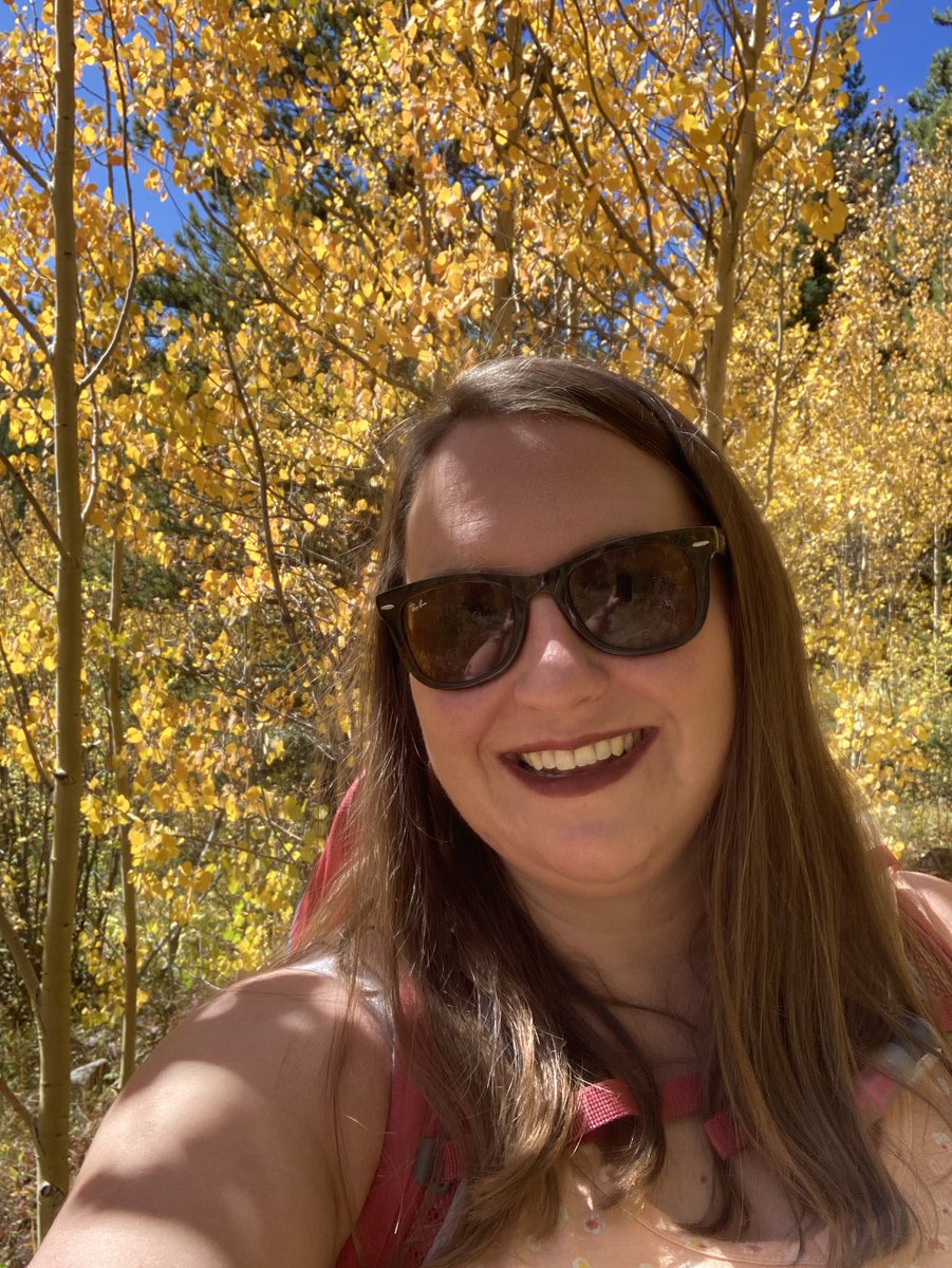 AuroraActivist's tweet photo. What a 💛golden💛 time to be alive. #BrunoGultch #GuanellaPass #ColoradoColors https://t.co/QLP5W1em1Q