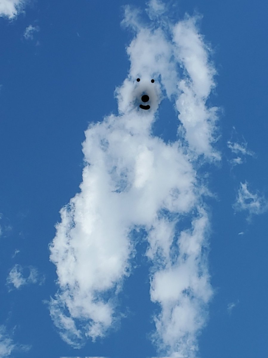 orthokotan's tweet photo. French Poodle standing up, leaning against a tree. #cloudanimals https://t.co/zYJOXi8M2E