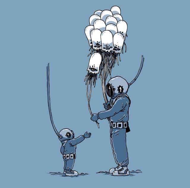 “There's nothing wrong with enjoying looking at the surface of the ocean itself, except that when you finally see what goes on underwater, you realize that you've been missing the whole point of the ocean."

Learn to #scuba dive in Cozumel ---> ScubaLuis.com

#cozumel