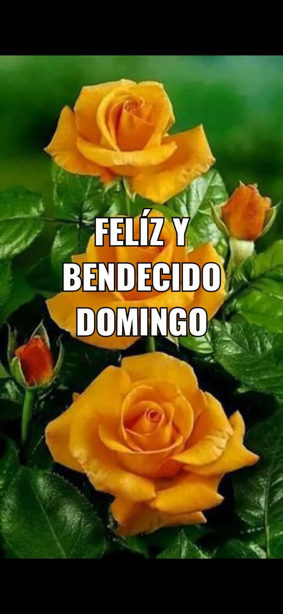 elijahbre's tweet photo. Bendiciones familia menuda!!! 🥰✌🇵🇷💯‼ #MenudoRock🎸
Blessed family ! ¡ #PuertoRico🇵🇷 #EternamenteFan😍 #AmorEterno❤ #Bendiciones🕊🌿❤
#PRStrong #Wepa🇵🇷PRStrongWepa!! #puertoricoselevanta #puertorico #puertoricostyle #prstrong #prstrongwepa https://t.co/r5SdgFz0Ky