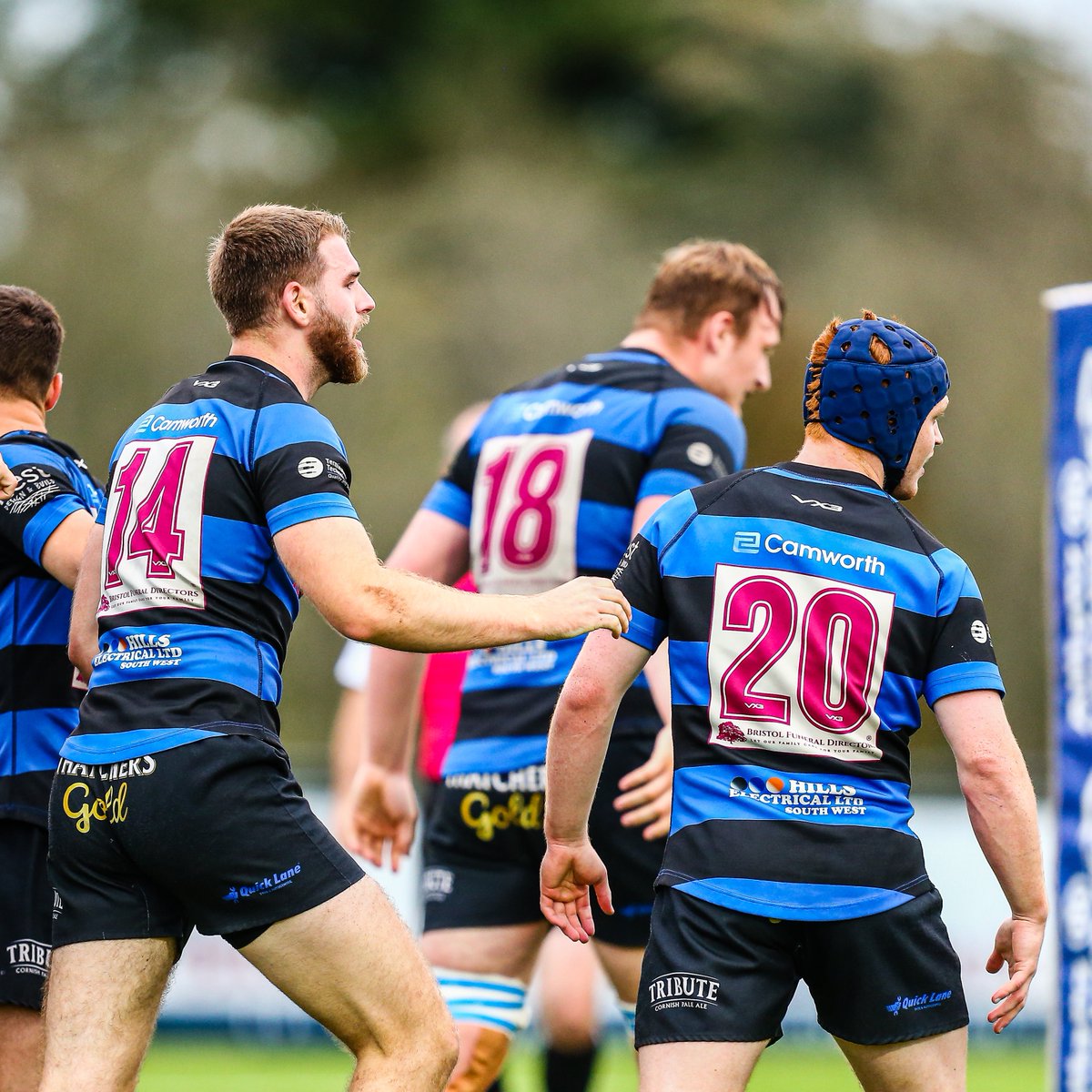 BristolBears's tweet photo. 🔴 Groves &amp; Bailey star for @HartpuryRFC 
🔵 Trio feature in @DingsCrusaders win
🟣 Last-gasp defeat for Lloyd's @cliftonrugby 

📸 LNC Images &amp; @Ytscoop 

Full round-up of our dual-registered players 👇
