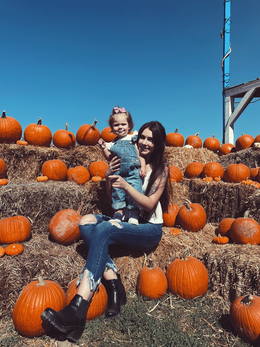 katelyntitswort's tweet photo. My pumpkin🧡 https://t.co/epR7JvIiLf