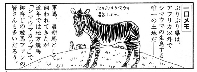 ぷりぷりシマウマによる地方競馬。実在したんだな・・・。>RT 