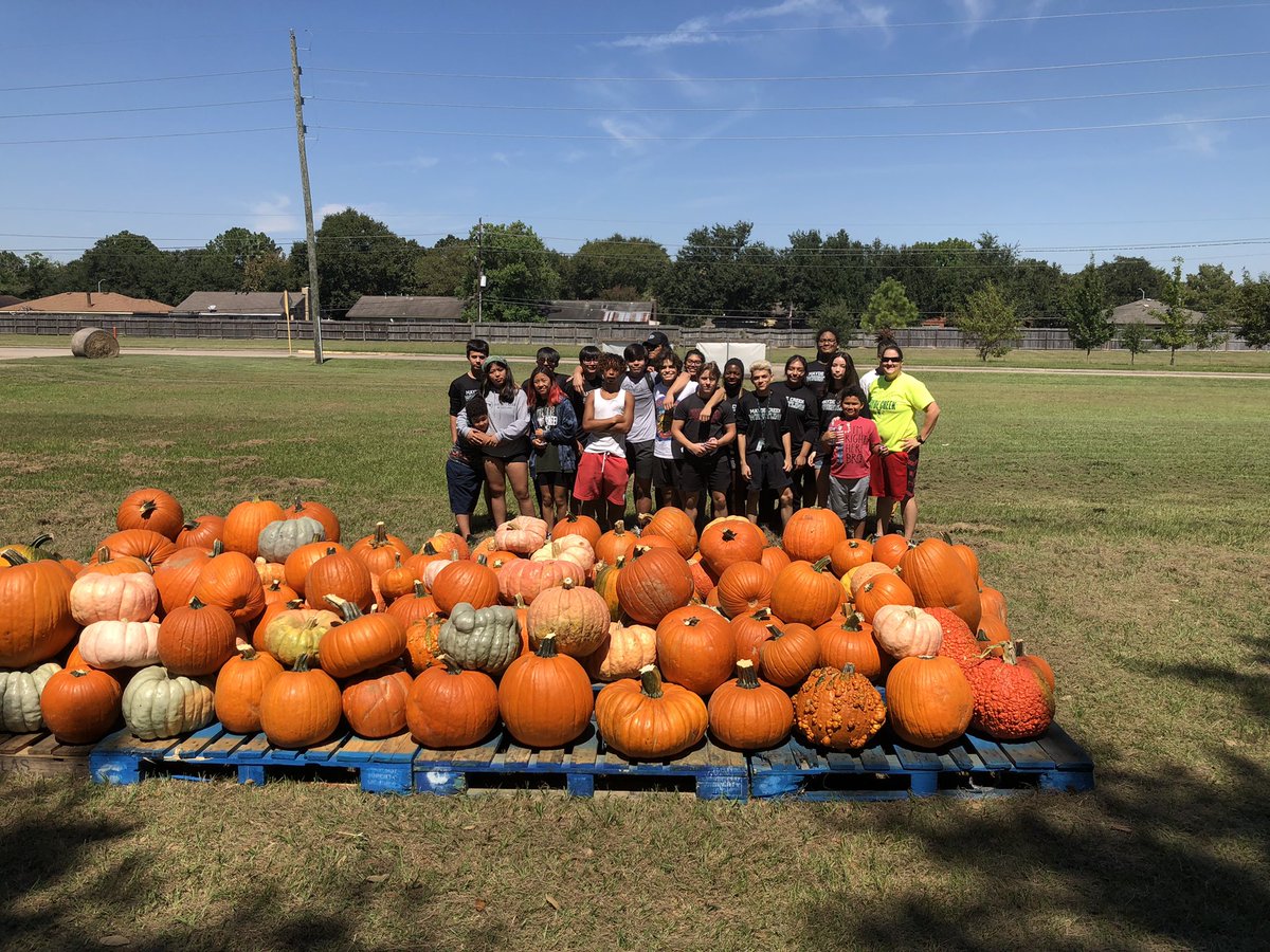 Amanda Kelso tweet media